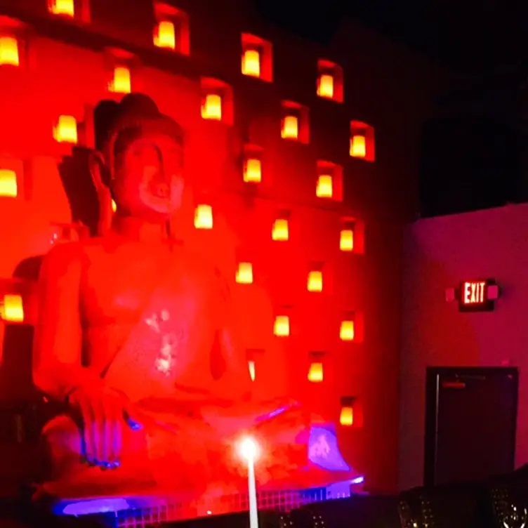 Tarakaan, Houston, TX