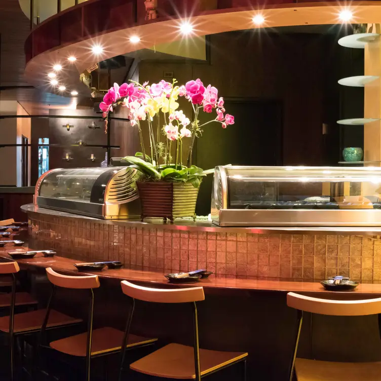 Bar View - OEC - Permanently Closed, San Francisco, CA