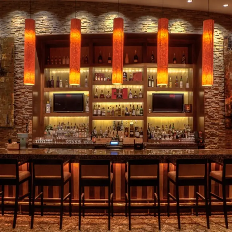 Bar Scene - Farraddays Steakhouse at Harrah’s Pompano Beach, Pompano Beach, FL
