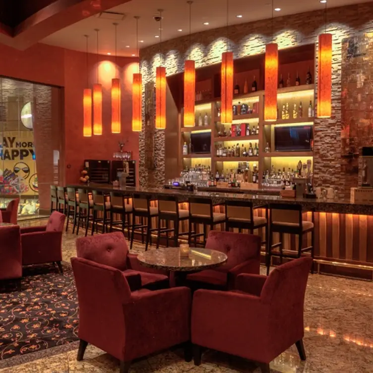 Bar Scene - Farraddays Steakhouse at Harrah’s Pompano Beach, Pompano Beach, FL