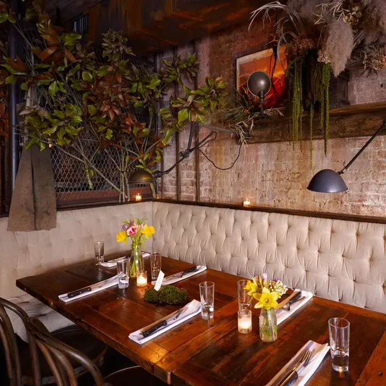 Edi - Edi and The Wolf - Permanently Closed, New York, NY