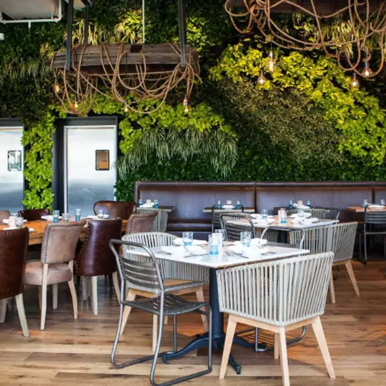 Herringbone - Santa Monica, Santa Monica, CA