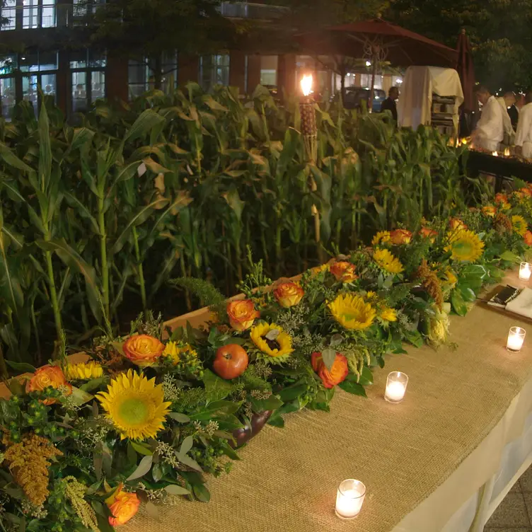 Patio Sunflowers - Tre Piani & Tre Bar - Permanently Closed, Princeton, NJ