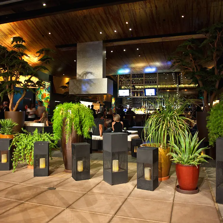 Tanzy - Tanzy Restaurant - Scottsdale Quarter - Permanently Closed AZ Scottsdale