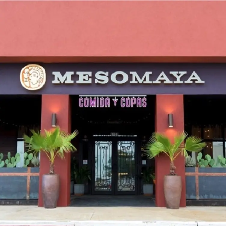 Meso Maya - Lakewood, Dallas, TX