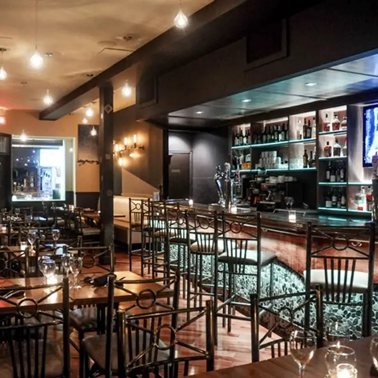 Safari Bar and Grill- Toronto, North York, ON