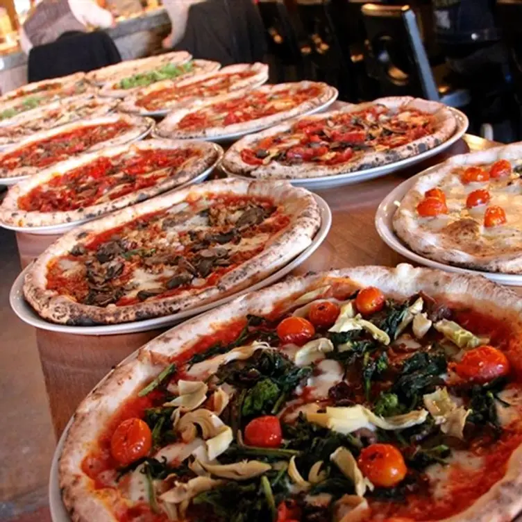 Cane Rosso - Carrollton, Carrollton, TX