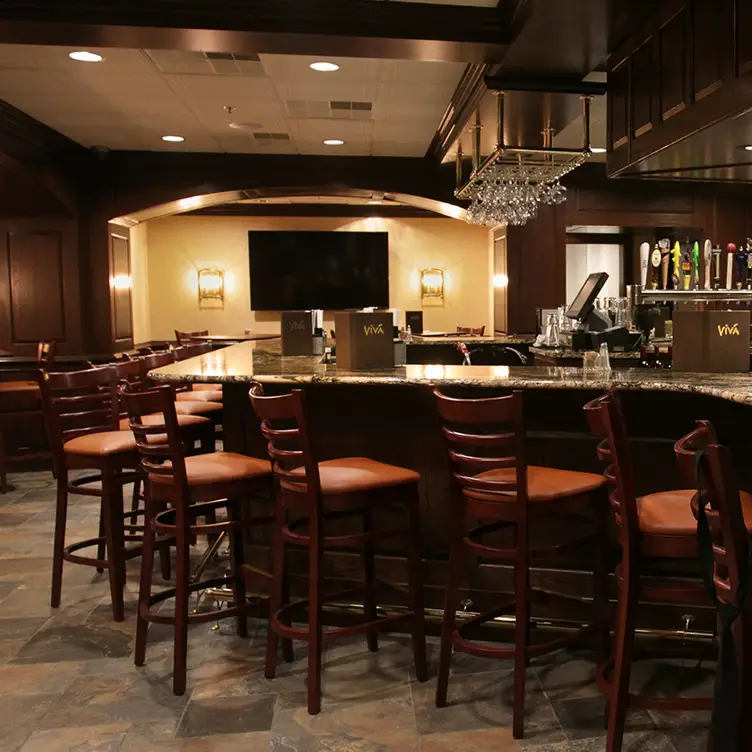 Viva-pub- - Castle Pub - Permanently Closed, Reading, PA