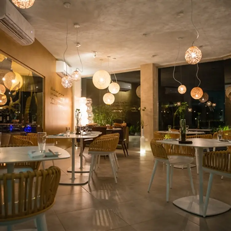 White Modern Cuisine, Noord, Aruba
