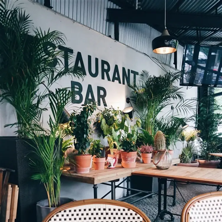 Patio, Hamburg, 