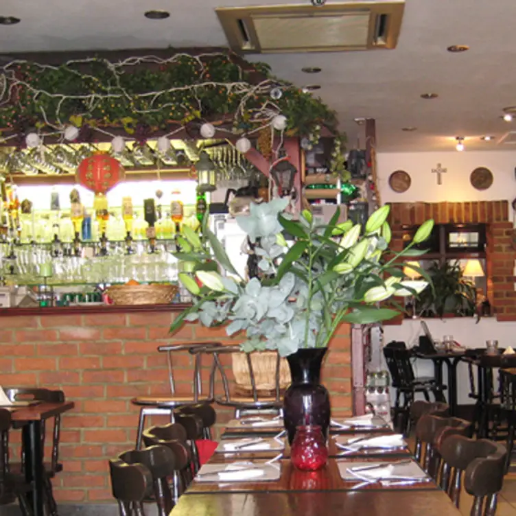 Vine Leaves Taverna, London, 