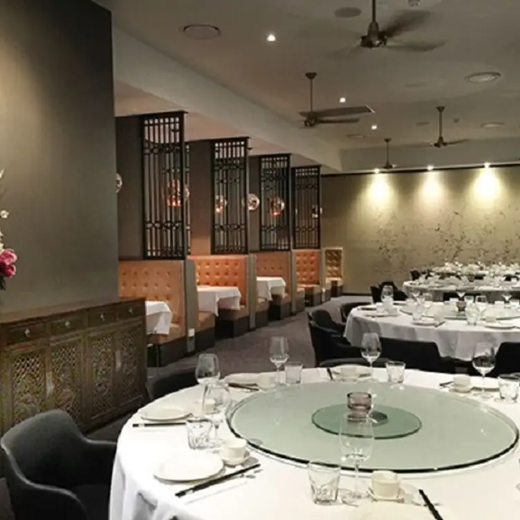 Dragon Cove - Dragon Cove Chinese Cuisine, Hope Island, AU-QLD