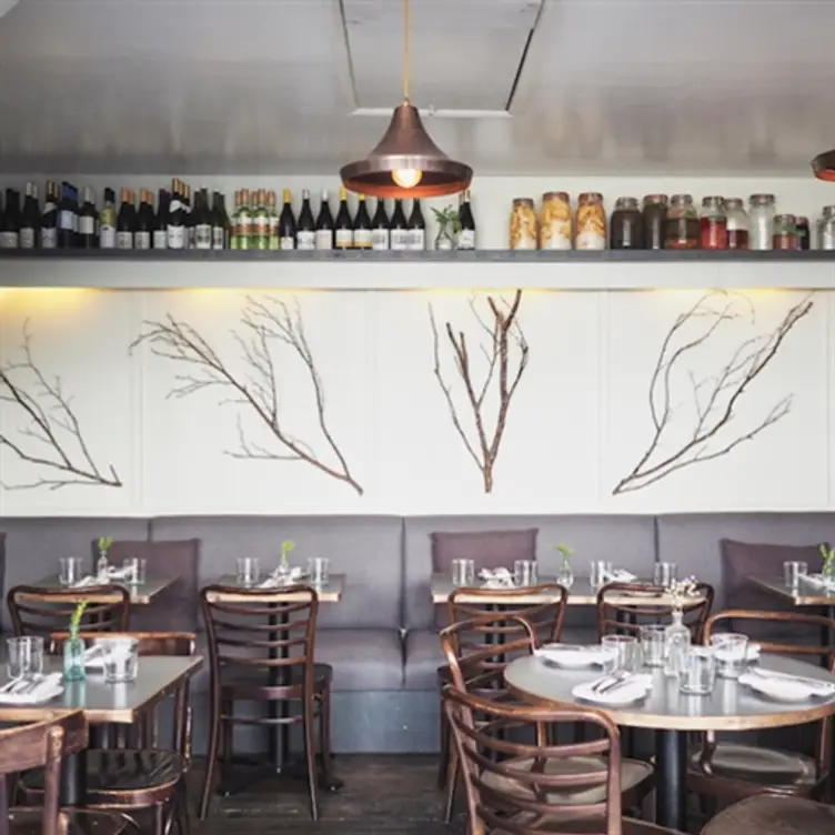 Pidgin, London, 