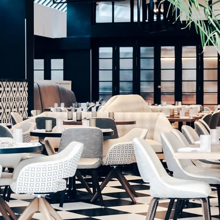 PLANTA, Toronto, Toronto, ON