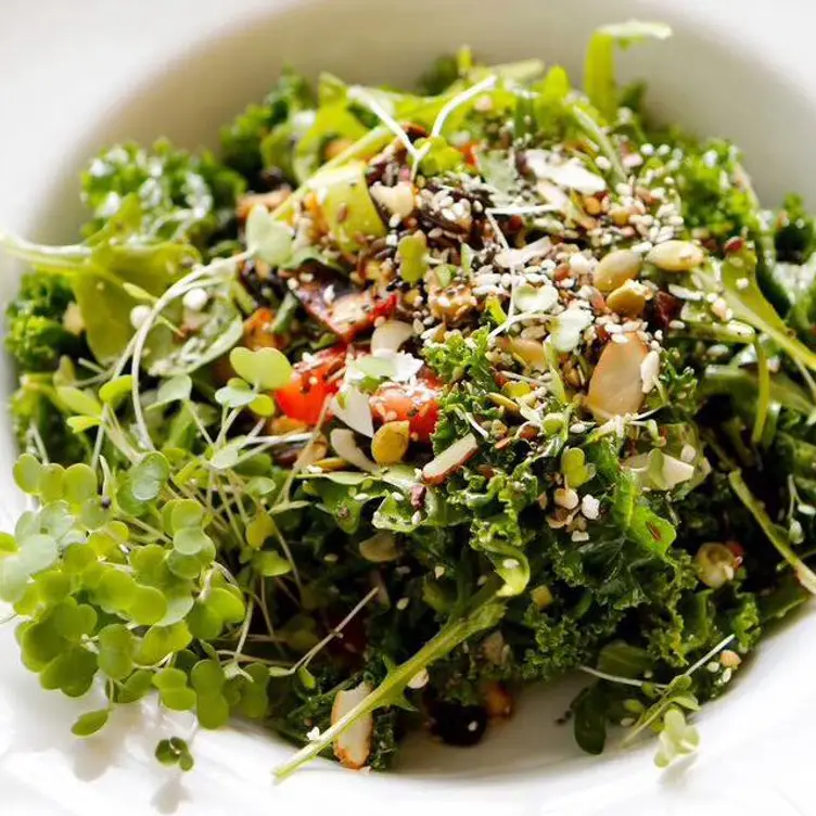 Mint Salad - MINT, Waitsfield, VT
