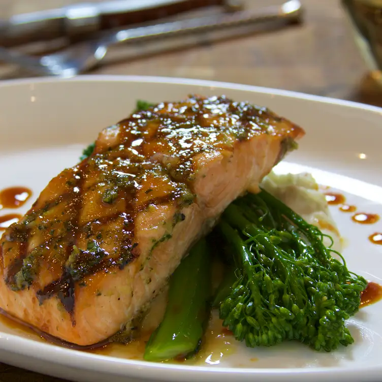 Salmon - Cala Bella at Rosen Shingle Creek, Orlando, FL