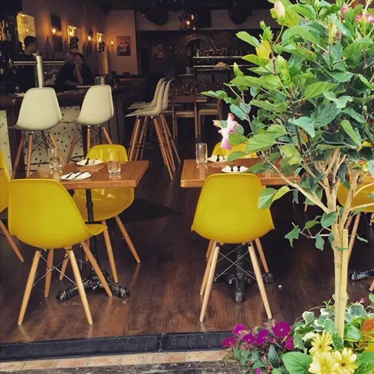 Zia Maria - Chelsea, New York, NY