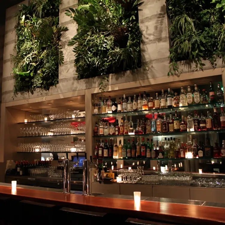 Maven Restaurant, San Francisco, CA