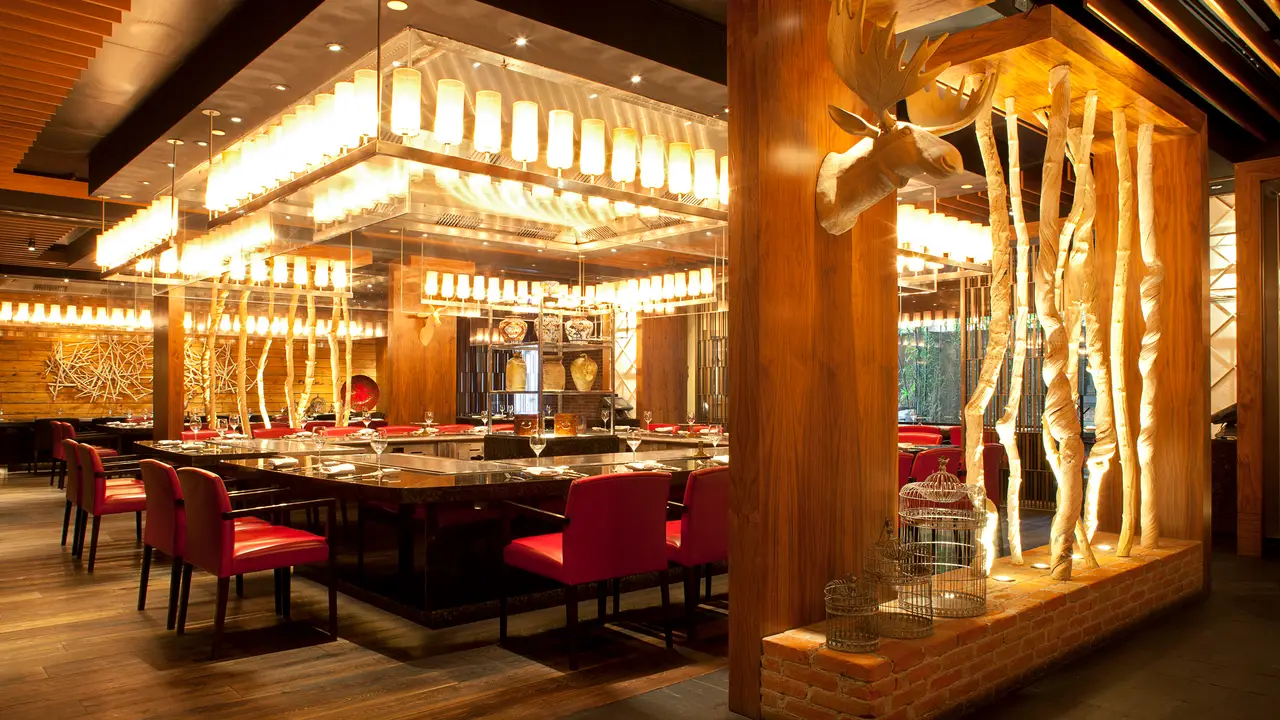 Teppan Grill - Teppan Grill- Hyatt Regency Mexico City, Ciudad de México, CDMX