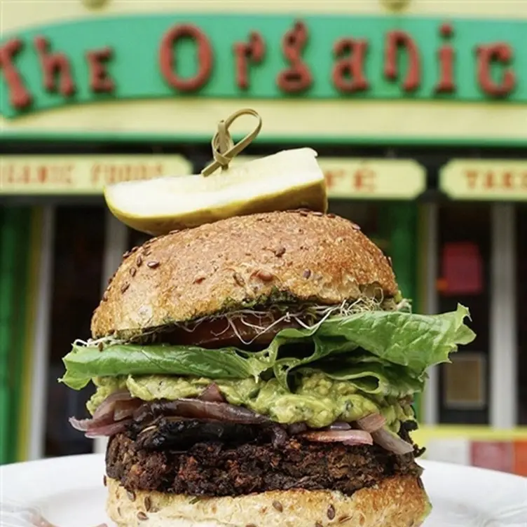 Organic Grill, New York, NY