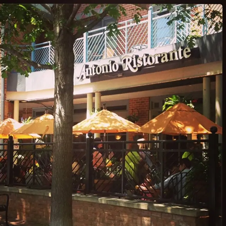 Antonio Ristorante, Addison, TX