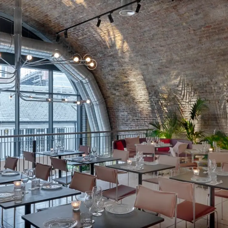 Bala Baya, London, 