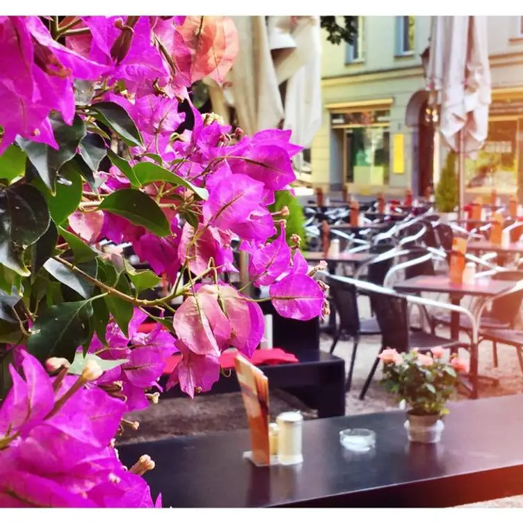 Cafe Münchner Freiheit, München, BY