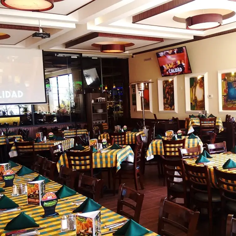 Terraza - Mr. Pampas - Queretaro, Querétaro, QUE