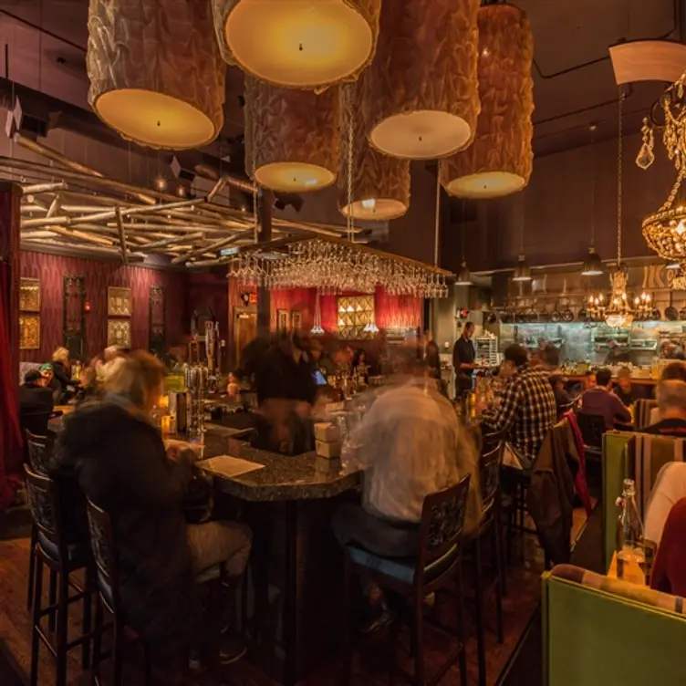ALAVITA, Boise, ID