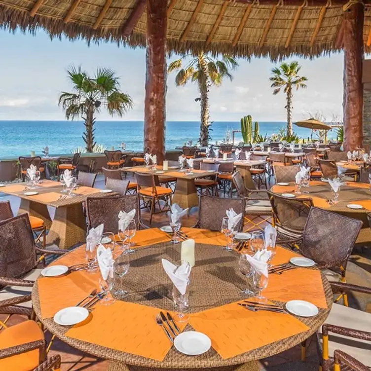 Pitahayas - Pitahayas, Cabo San Lucas, BCS