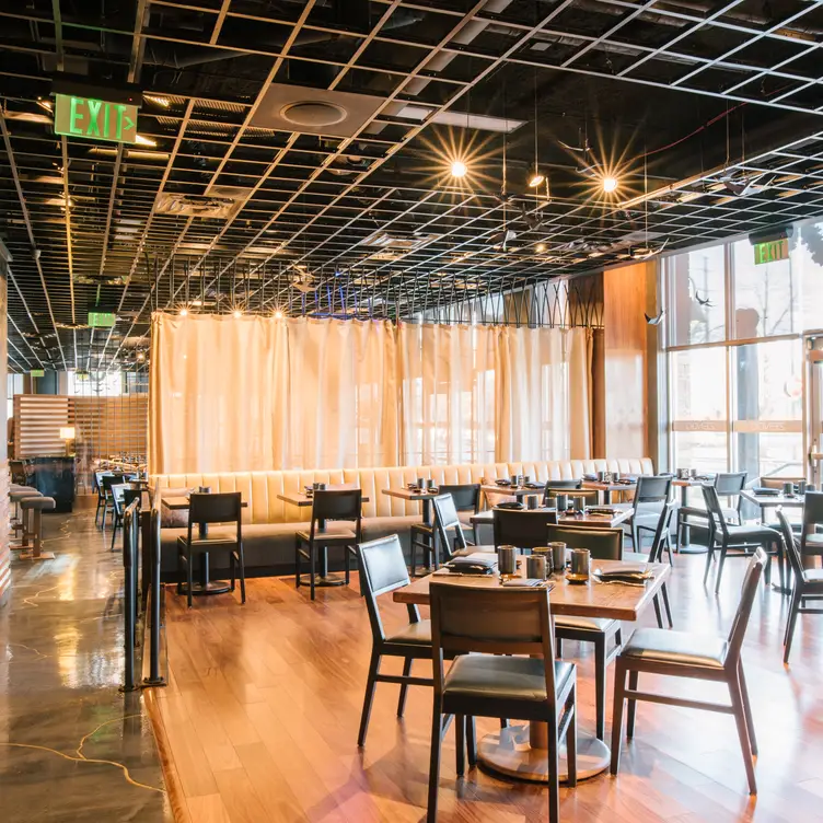 Dining Room - Zengo Denver, Denver, CO
