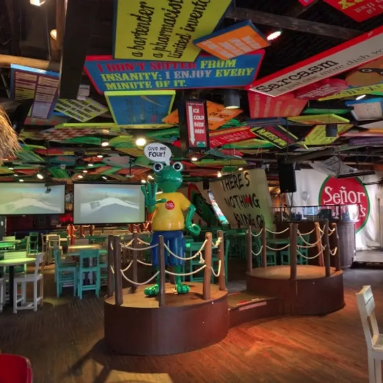Drag Brunch At Senor Frogs - Drag Brunch at Senor Frogs - Orlando, Orlando, FL