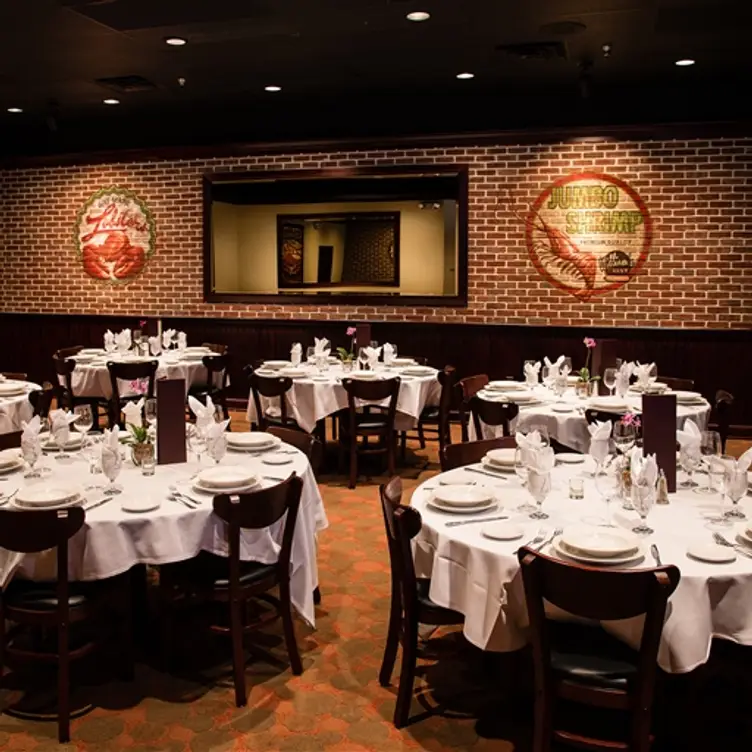 The Hard Shell - Bellgrade, Midlothian, VA