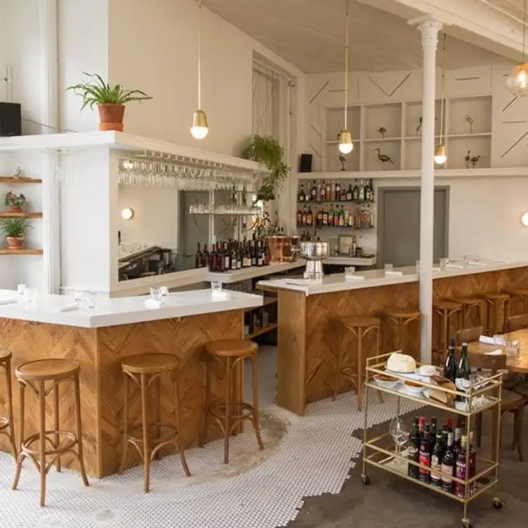 Otway - Otway, Brooklyn, NY