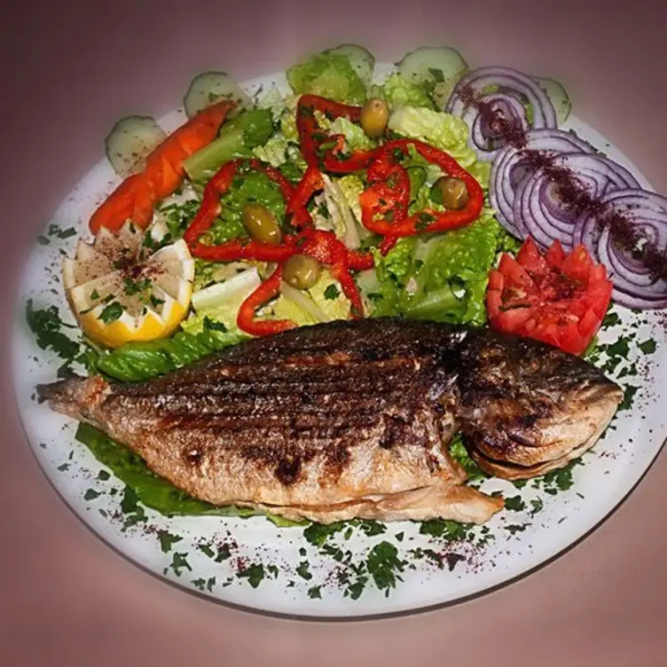 Levant - LeVant Restaurant, Edison, NJ