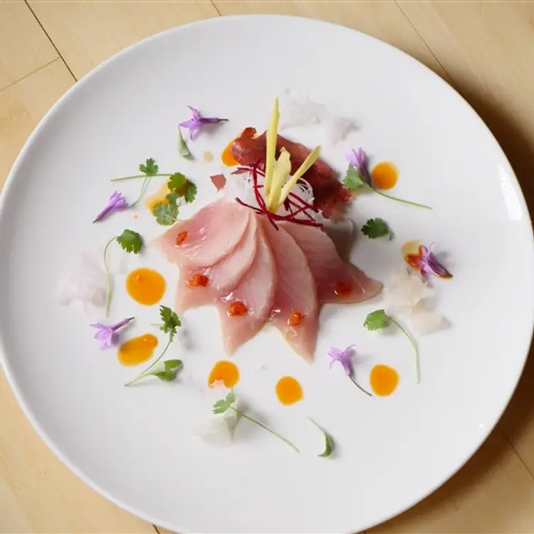 Montana Fish Co., Bozeman, MT