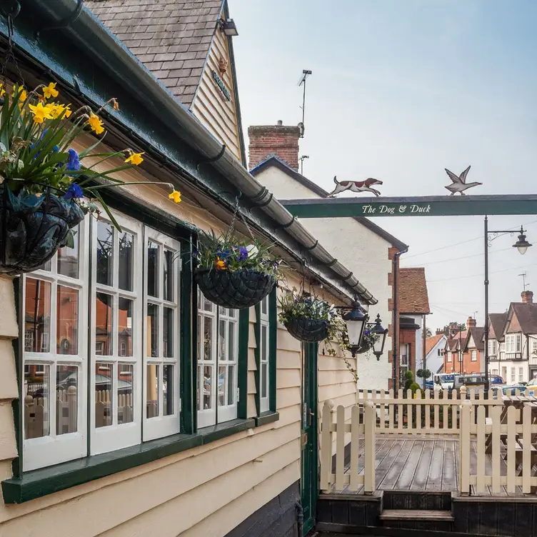 The Dog & Duck, Stansted Mountfitchet, Essex