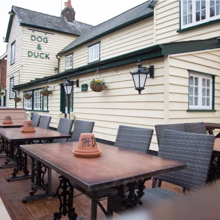 The Dog & Duck, Stansted Mountfitchet, Essex