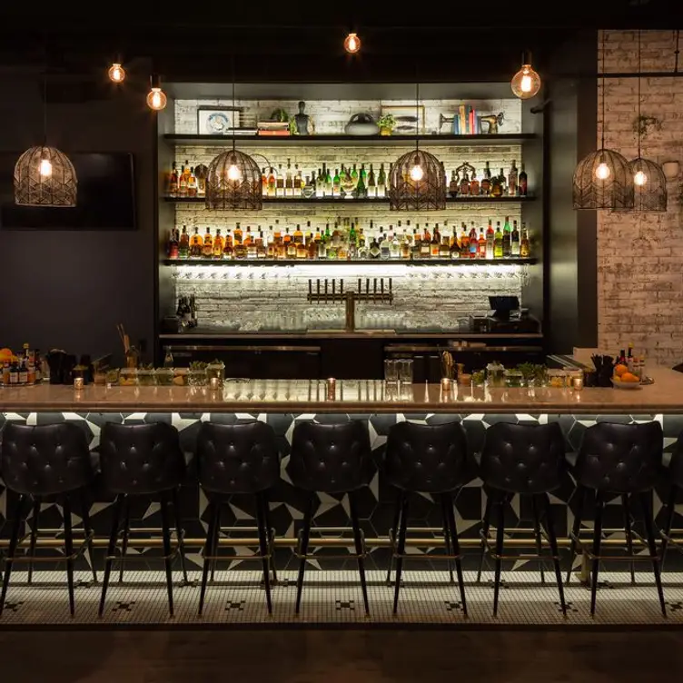 Clever Rabbit, Chicago, IL
