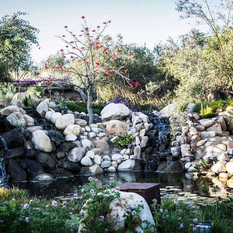 Cascada - TrasLomita, Ensenada, BCN