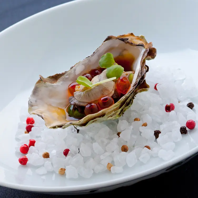 Oyster - ANZU, San Francisco, CA