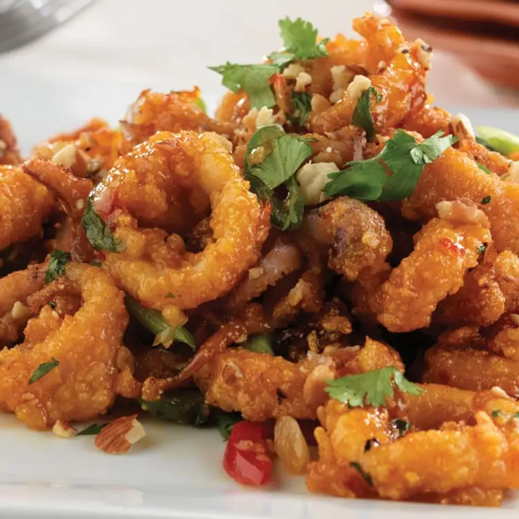 Calamari Modena With Balsamic Vinegar - La Strada Italian Restaurant|BYO, Huntingdon Valley, PA