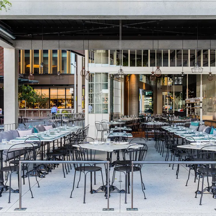 Abi Nikkito - Tequila Daisy, Barangaroo, AU-NSW