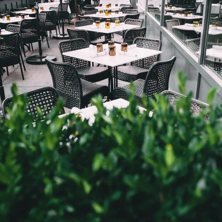 Patio - Acanto, Chicago, IL