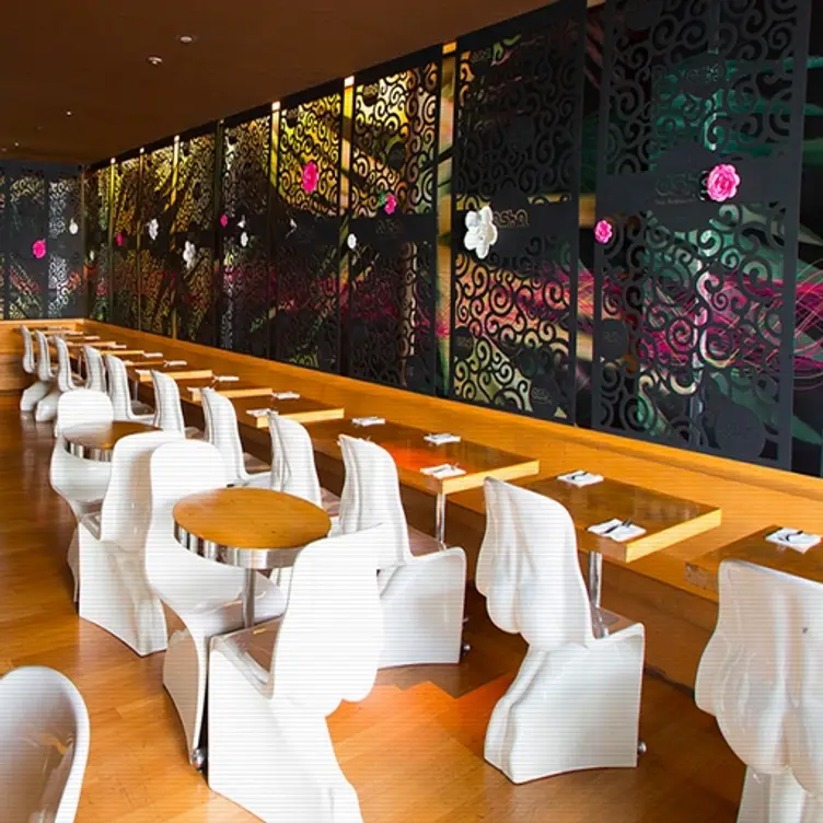 Osha Thai - Valencia Street，CASan Francisco