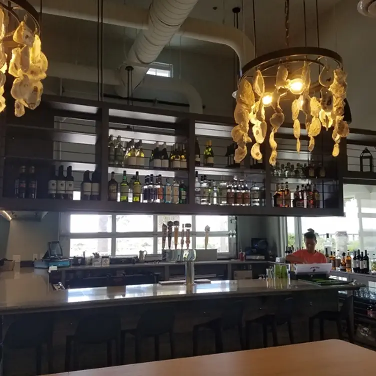 Jekyll Island Seafood Company, Jekyll Island, GA