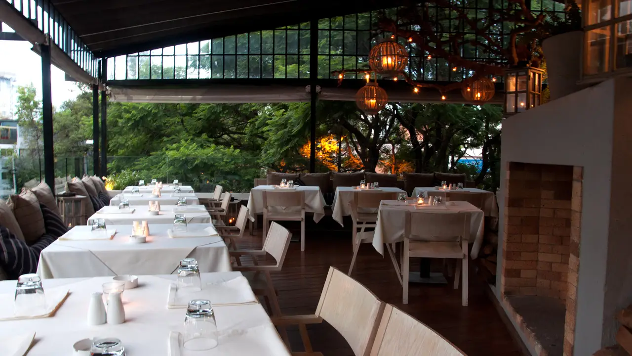 Terraza - Gloutonnerie, Mexico City, CDMX