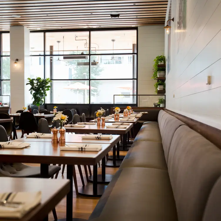 North Italia - Plano, Plano, TX