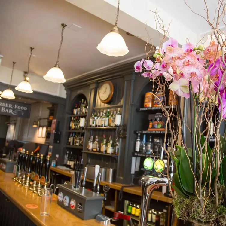 The Salamander, Bath, Bath