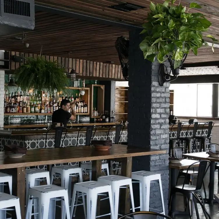 Lutum, Miami Beach, FL